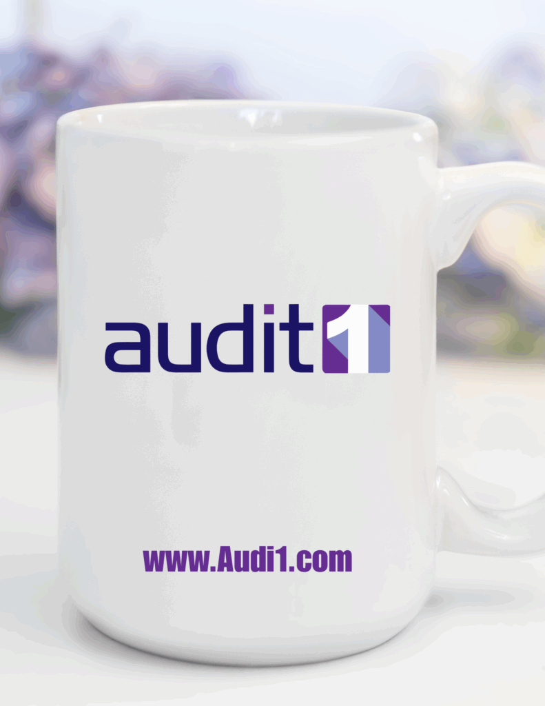 Audit1