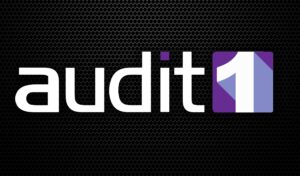 Audit1 Logo