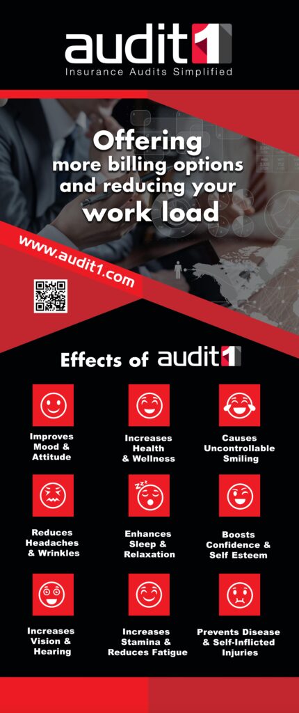 Audit1-Pull up Banner-left