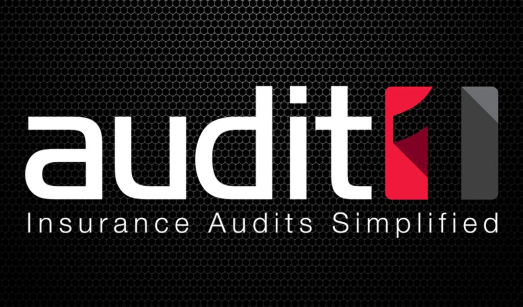 Audit 1 logo old