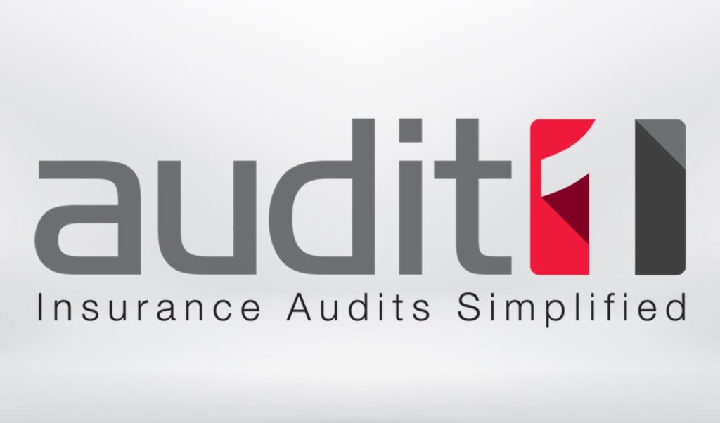 Audit 1 logo2 old
