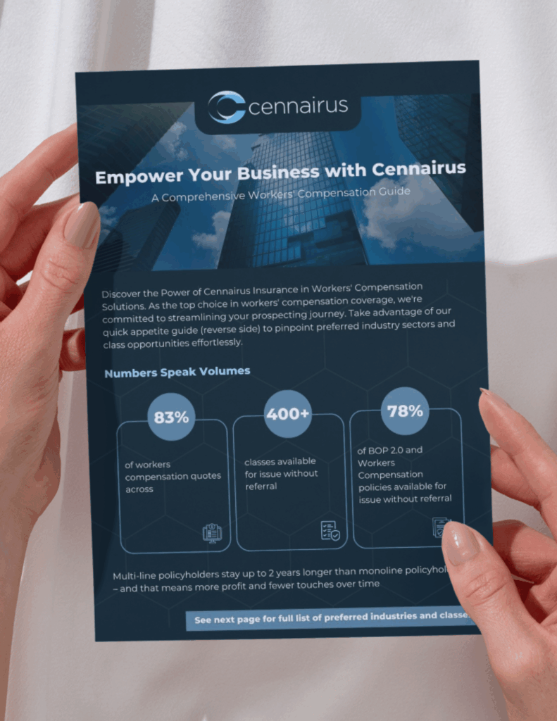Cennairus Empower your business
