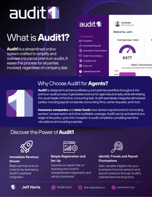 Audit1 -Collateral 2